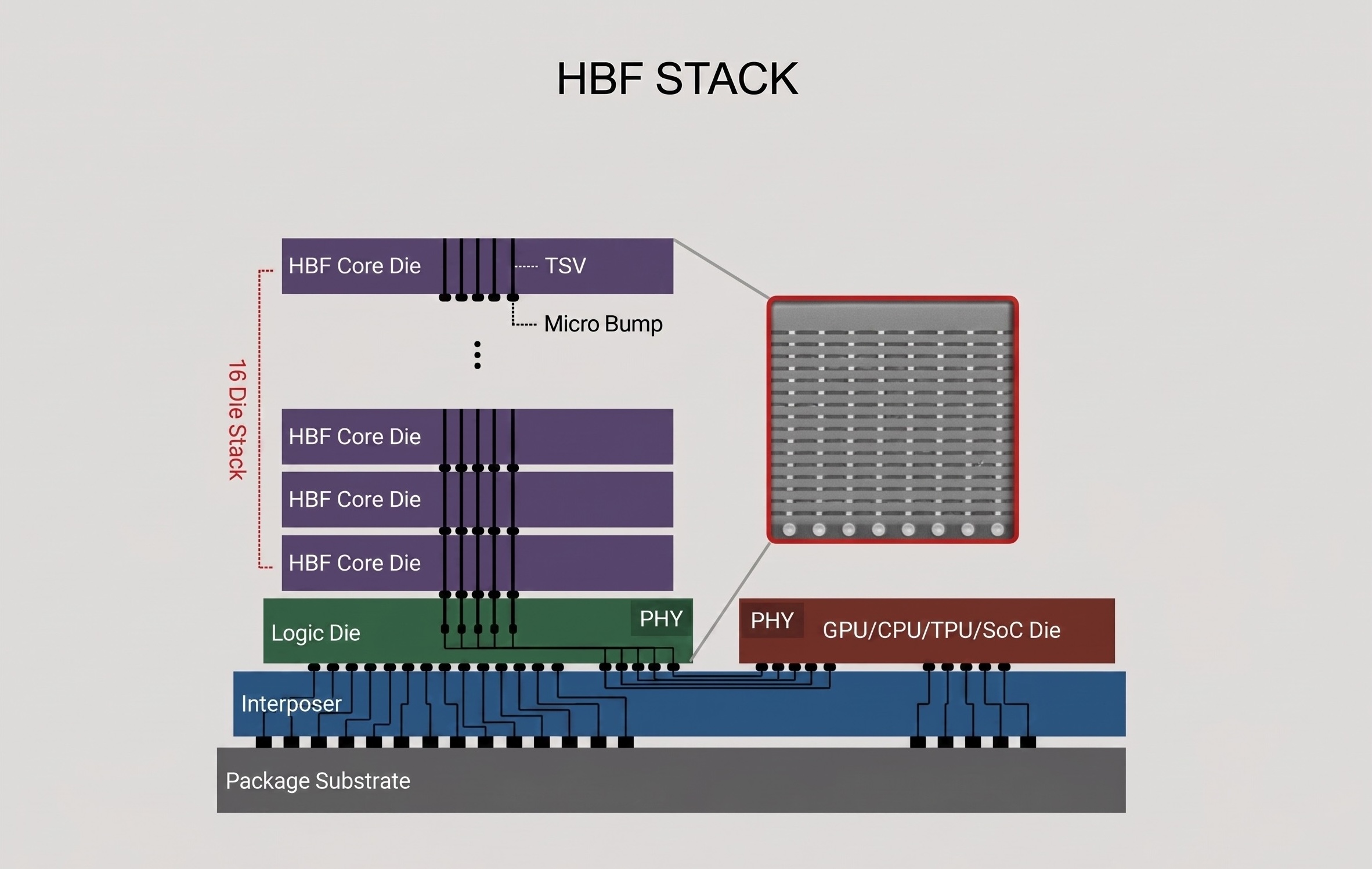 HBF 구조도 - TSV로 적층된 NAND 다이와 인터포저 위 가속기 배치
